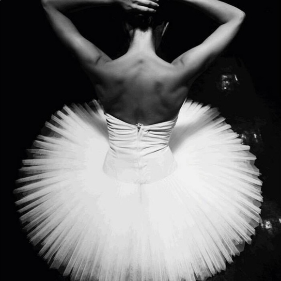 Meet your Posher, Ebony - Picture 2 of 8